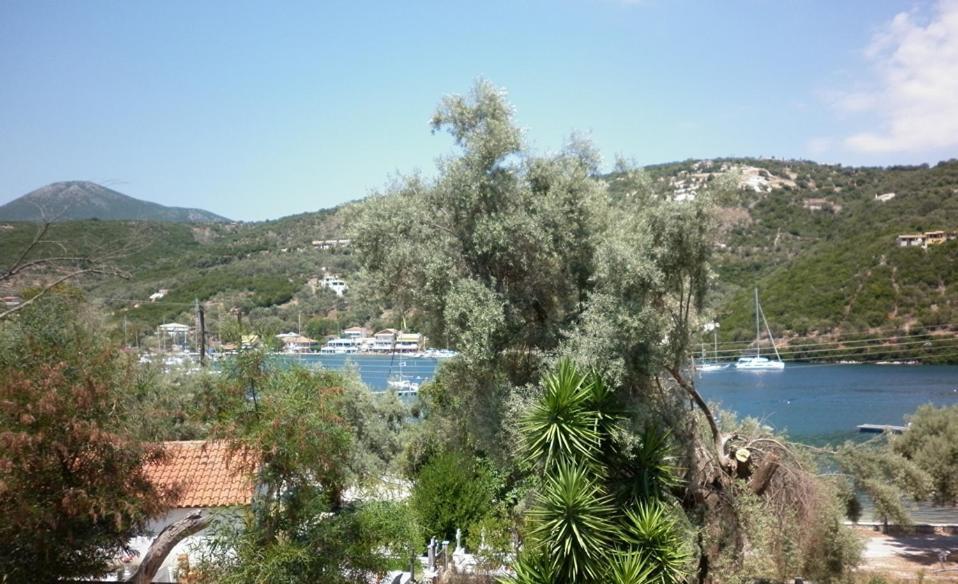 μπουκαμβίλια - Bougainvillea Sivota (Lefkada)