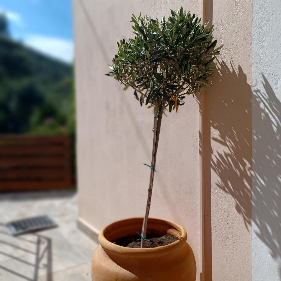 μπουκαμβίλια - Bougainvillea Apartment Sivota (Lefkada)