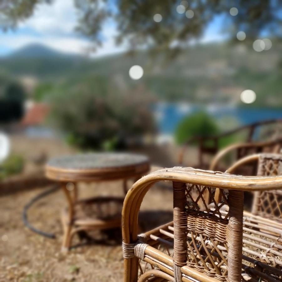 Apartment μπουκαμβίλια - Bougainvillea Sivota (Lefkada)
